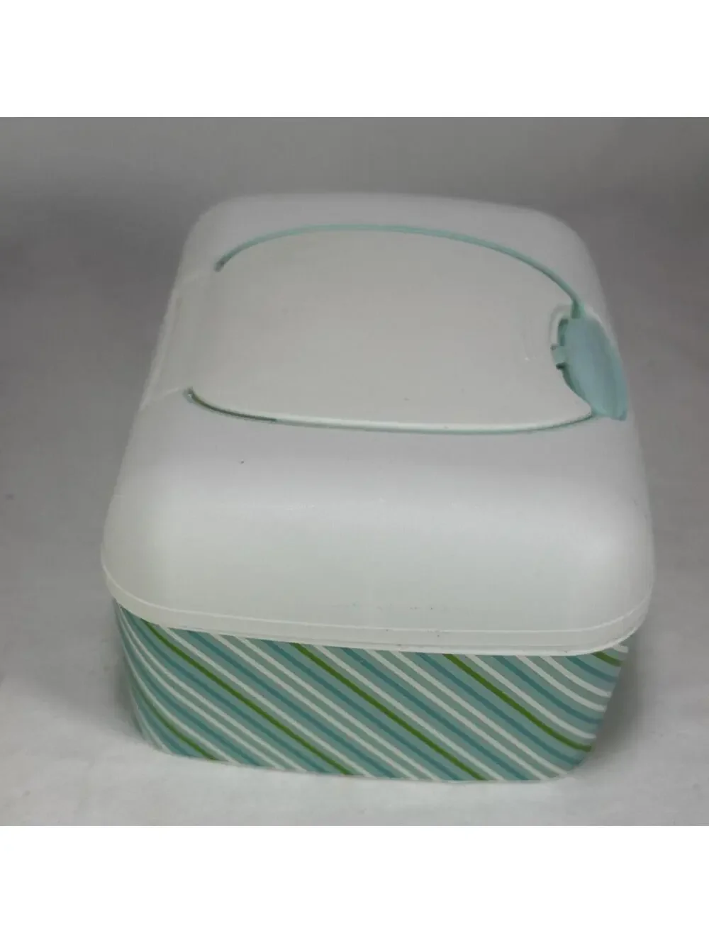 Charmin Plastic Wet Wipes Container Dispenser Holder With blue green Stripes